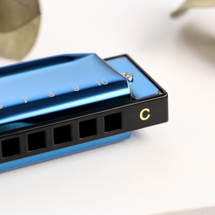 Губная гармошка Music Life T003 C диатоническая, 10 отверстий, с футляром, синяя Губная гармошка Music Life T003 C диатоническая, 10 отверстий, с футляром, синяя