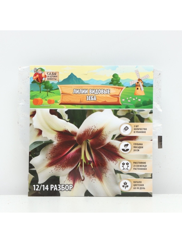 Лилии видовые Zeba, луковица в пакете с перфорацией, р-р 12/14, 2 шт.