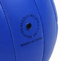 Волейбольный мяч MINSA SMR-058, машинная сшивка, 18 панелей, р. 5, TPU
