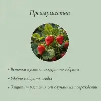 Кустодержатель для клубники, d=30.5 см, пластик, зелёный