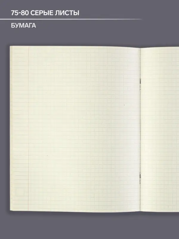 Тетрадь предметная 48 листов в клетку Calligrata, &laquo;Чёрное-белое. Физика&raquo;, обложка мелованная бумага, серые листы