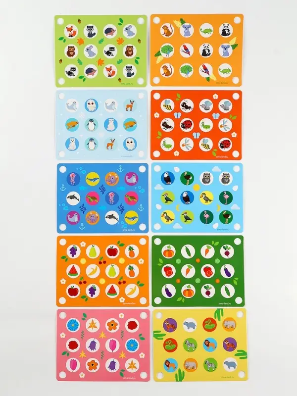 Мемо &laquo;Окружающий мир&raquo;, 12 окошек