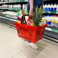 Корзина покупательская пластиковая, 20 л, 2 пластиковые ручки, красная