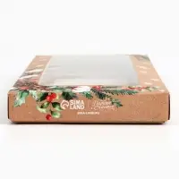 Коробка для шоколада «Еловые веточки», с окном, 9.4 х 1.7 х 18.4 см