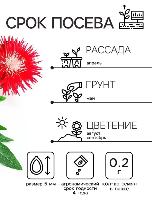 Семена   Астра Ажурная россыпь, смесь окрасок , 0,2г