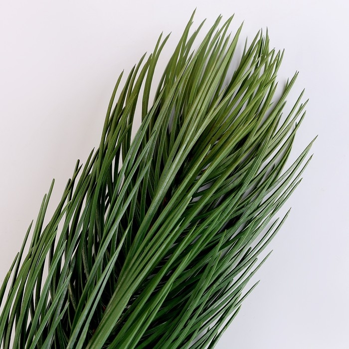 Новый год! Литая веточка, зелёная, набор 1 шт. Новый год! Литая веточка, зелёная, набор 1 шт.