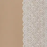 Кружевная эластичная ткань &laquo;Павлин&raquo;, 180 мм, 23&plusmn;1 м, белая