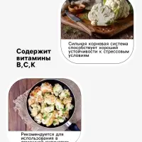 Семена Капуста цветная, &laquo;Форталеза&raquo;, F1, 10 шт., Seminis, &laquo;Агрос&raquo;