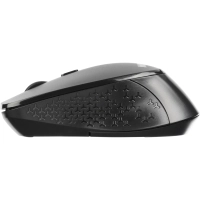 Мышь компьютерная ProMega jet WM010 USB WLS RT/1 АА/dpi 1600/3 кн/черный