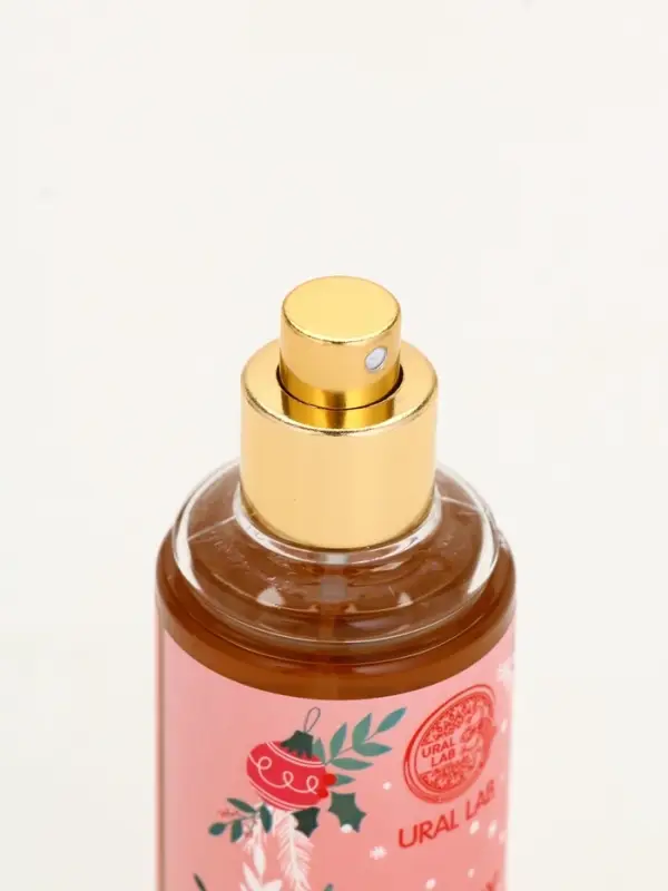 Подарочный набор косметики «Чудес в Новом году», гель для душа, мочалка и мист, URAL LAB