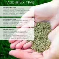 Газон &laquo;Гном&raquo; 5 кг