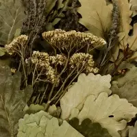 Веник для бани, дубовый, 55 см, с букетом из трав, &laquo;Добропаровъ&raquo;