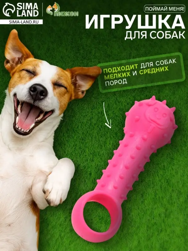 Игрушка-дразнилка для собак &laquo;Поймай меня!&raquo;, 9.5 см, TPR, розовая