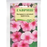 Набор семян комнатных Барвинок &laquo;Щеголь&raquo;, 5 шт.