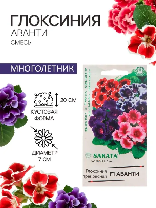 Семена комнатных цветов Глоксиния &laquo;Аванти&raquo;, смесь, F1, 4 шт., &laquo;Гавриш&raquo;