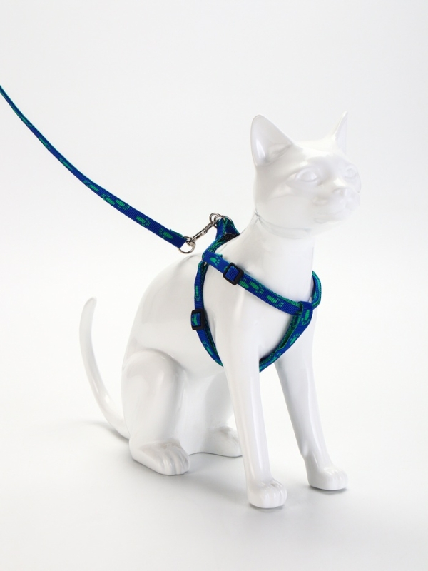 Комплект Комплект "Большая лапа", ширина 1 см, поводок 120 см, шлейка 25-36 см, сине-зелёный