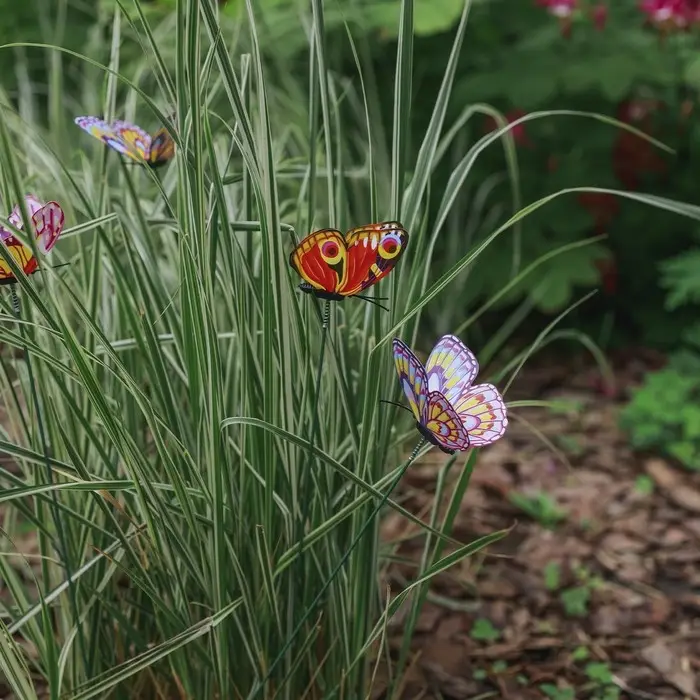 Штекер "Бабочка Дольче" 12×9см/30см, МИКС