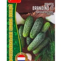 Семена Огурец Брандино F1 (Brandino) (Seminis) 5шт.  12.29 г.