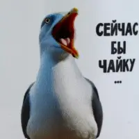 Кружка керамическая «Сейчас бы чайку», 320 мл