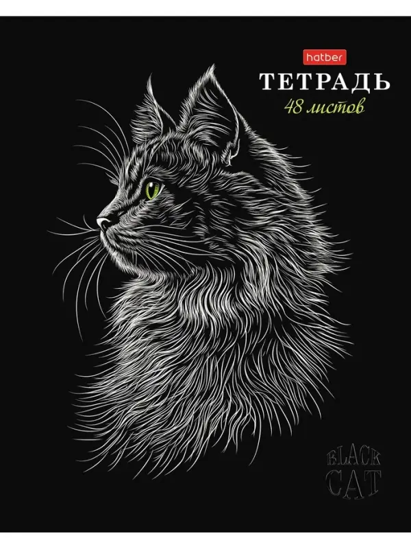 Тетрадь 48л А5ф клетка 60-65г/кв.м на скобе Обл. мел.картон мат.ламин. 3D лак МИКС