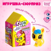 Питомцы «Crazy Pets», МИКС