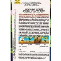 Семена цветов Катарантус Хитвейв блю виз ай карликовый Спецсерия Hem Genetics, Ц/П,5 шт. Семена цветов Катарантус Хитвейв блю виз ай карликовый Спецсерия Hem Genetics, Ц/П,5 шт.