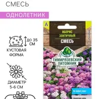 Семена цветов Иберис  "Cмесь", 0,1 г Семена цветов Иберис  "Cмесь", 0,1 г