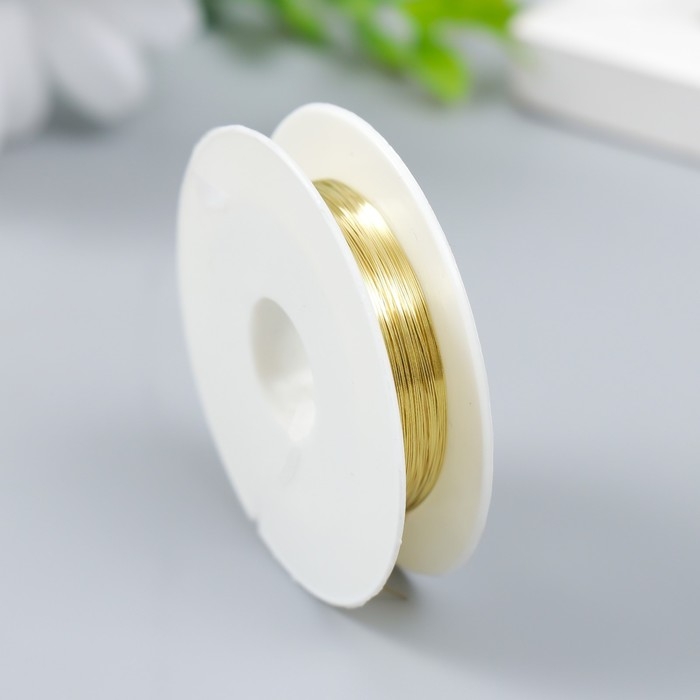 Проволока для творчества  Проволока для творчества "Astra" 0,2 мм, 10 м, золото