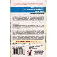 Семена Цветы Астра игольчатая &laquo;Шальная Императрица&raquo; лимонная, 0.2 г