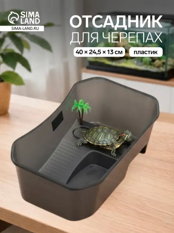 Отсадник для черепах, 40&times;24.5&times;13 см, пластик, чёрный