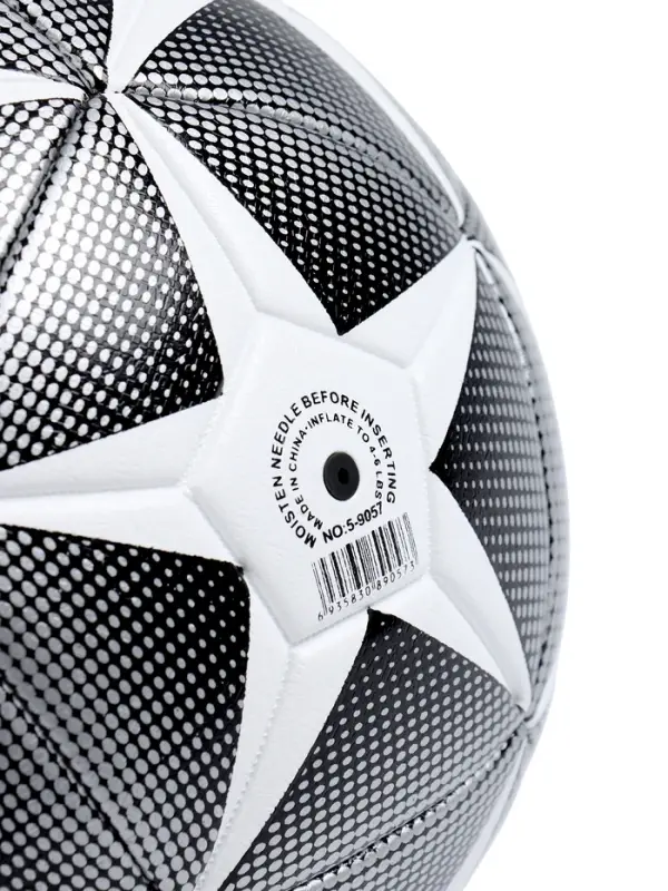 Мяч футбольный MINSA, TPE, машинная сшивка, 12 панелей, р.5