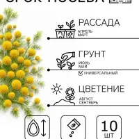 Семена цветов Краспедия шаровидная &laquo;Билли Батон&raquo;, 10 шт.