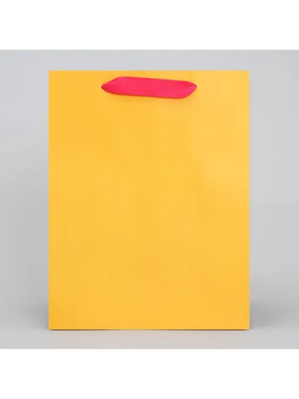 Пакет подарочный трёхцветный, упаковка, &laquo;Жёлтый-розовый-голубой&raquo;, MS 18 х 23 х 10 см