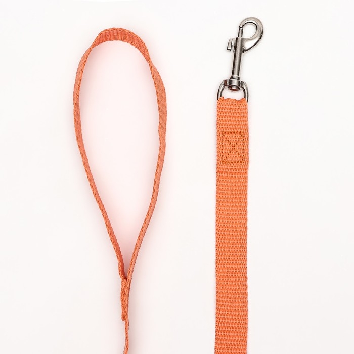 Поводок капроновый цветной Зооник, 3 м х 2 см, микс цветов Поводок капроновый цветной Зооник, 3 м х 2 см, микс цветов