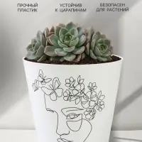 Кашпо для цветов &laquo;Силуэт&raquo;, 800 мл, d=12 см, h=11 см, пластиковое