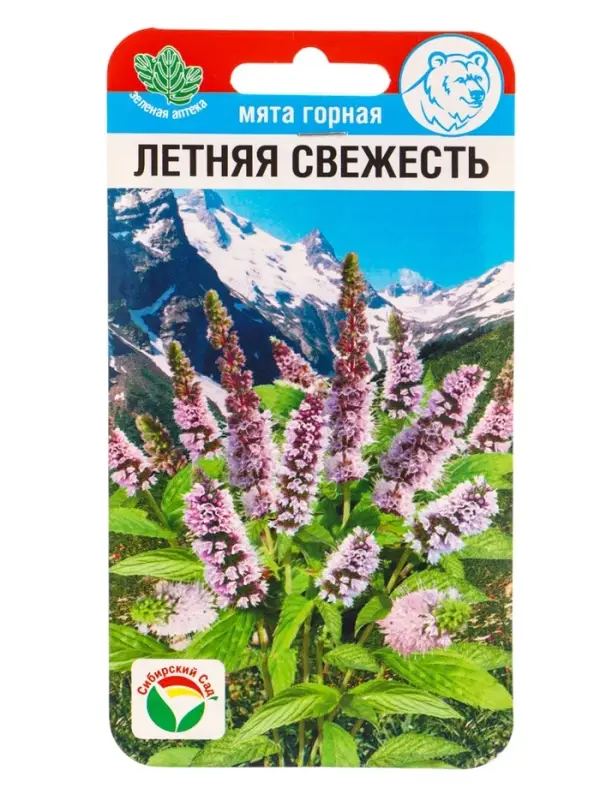 Семена Мята Летняя свежесть 0.04 г (Сибирский Сад)