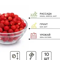 Семена Земляника &laquo;Красная пчелка&raquo;, 10 шт., &laquo;Сибирский сад&raquo;