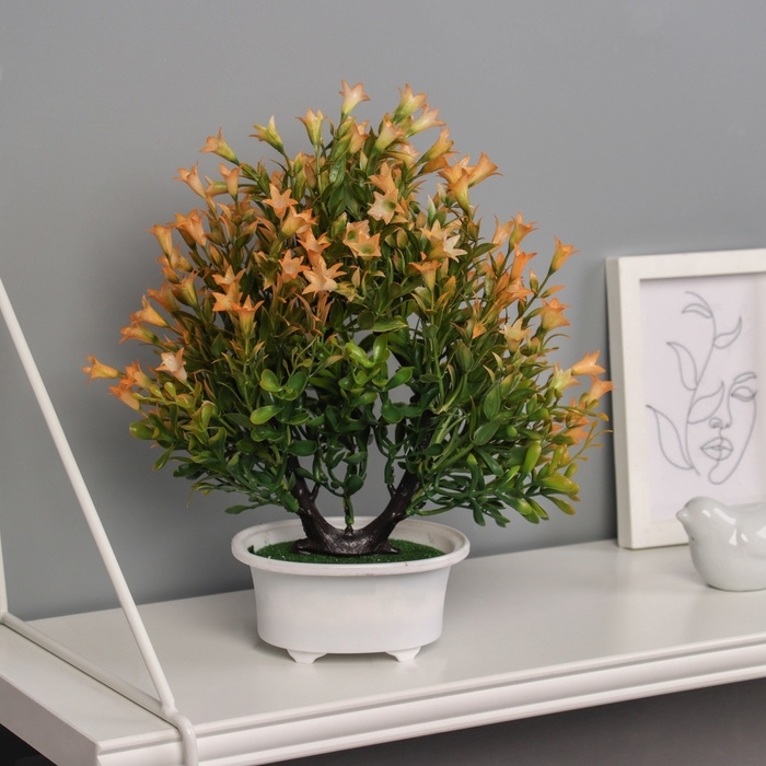 Бонсай в горшке Бонсай в горшке "Лилиана премиум" 25х12 см, микс