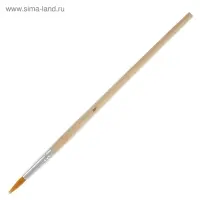 Набор кистей для рисования, синтетика, 10 штук: № 1, 2, 3, 4, 5, 6, 7, 8, 9, 10, круглые, деревянная ручка, международный размер