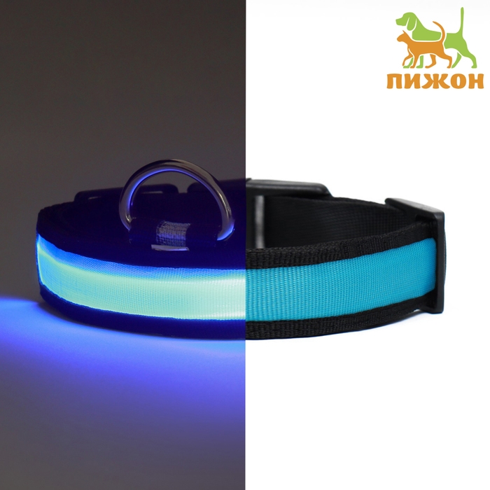 Ошейник с подсветкой Flash 3 режима свечения размер S, ОШ 35-43 х 2,5 см синий Ошейник с подсветкой Flash 3 режима свечения размер S, ОШ 35-43 х 2,5 см синий