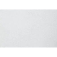 Салфетка спанлейс 20х30 см, белый, White Line, 100шт/упак, 10273(0612)