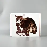 Коробка-шкатулка, подарочная &laquo;Котики&raquo;, 27&times;21&times;9 см