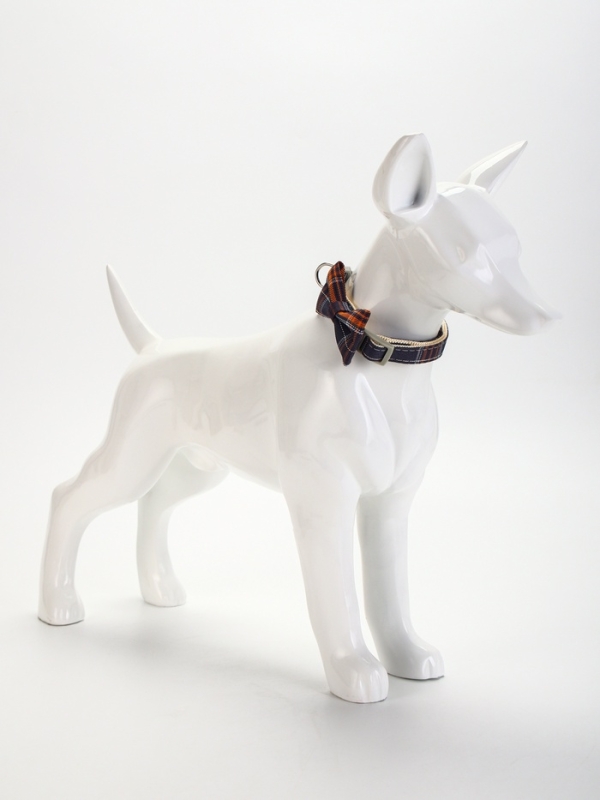 Ошейник Ошейник "Джентельмен в клеточку", 40 х 1,5 см, коричневый