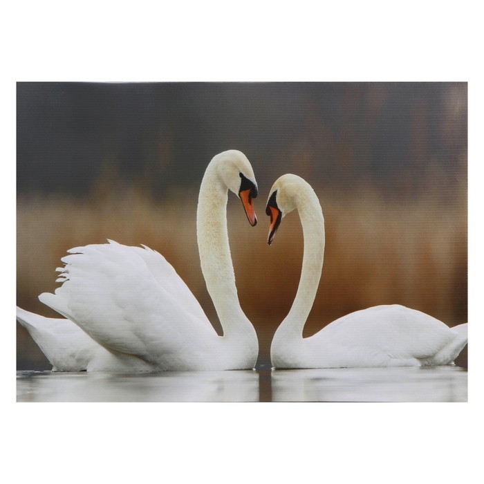 Картина Картина "Лебёдушки" 50*70 см