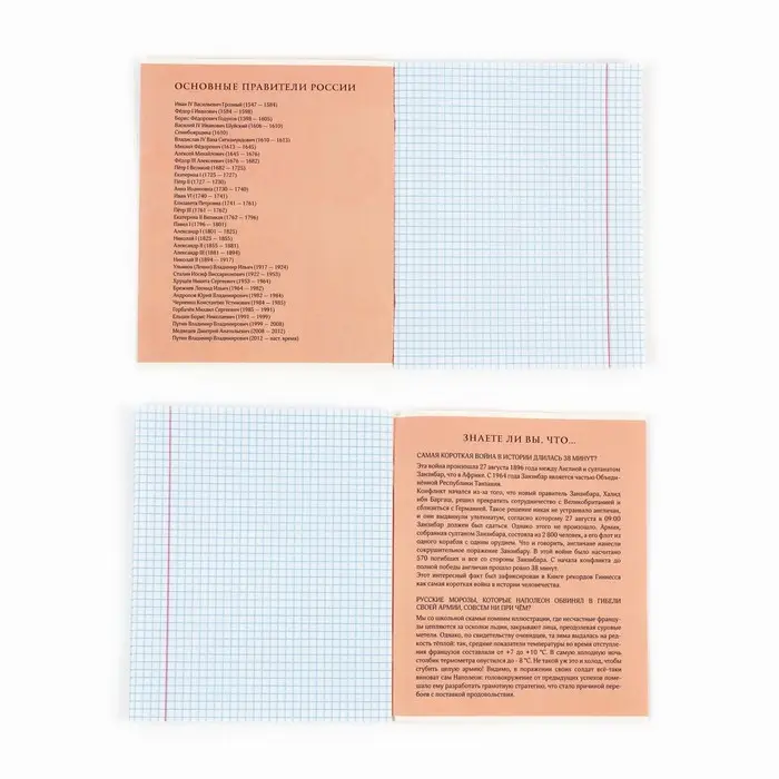 Тетрадь в клетку, предметная, 36 л.,на скрепке, блок №1&laquo;Мемы. История&raquo;