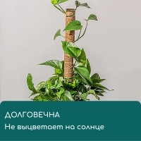 Опора для подвязки растений, h = 50 см, d = 5 см, кокосовая, Greengo