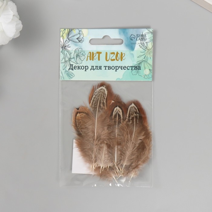 Перо декоративное фазана  Перо декоративное фазана "Рябь. Коричневая" набор 20 шт h=5-7 см