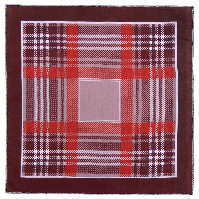 Мужские носовые платки  Мужские носовые платки "Этель" размер 30х30 см, (набор 12 шт,) цвет коричневый, рисунок МИКС