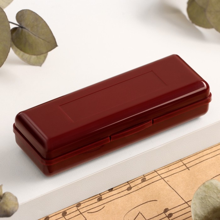 Губная гармошка Music Life T10 C диатоническая, 10 отверстий, с футляром Губная гармошка Music Life T10 C диатоническая, 10 отверстий, с футляром