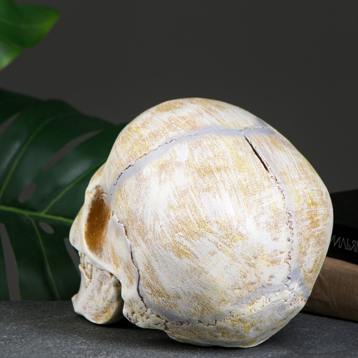 Копилка  Копилка "Череп" кость, 16х13х22см